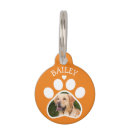 Search for dog tags Cute