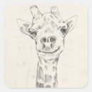 Search for giraffe spots stickers Zoo