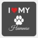 Search for havanese dog stickers Puppies