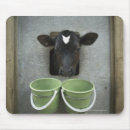 Search for cattle mouse mats Agriculture