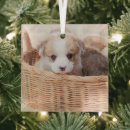 Search for tiny christmas tree decorations Canine