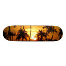 Search for nights skateboards Summer