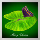 Search for happiness is a butterfly posters Joy