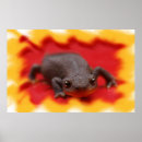 Search for occasions posters Animals