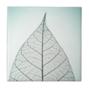 Search for vein tiles Botany