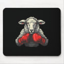 Search for taekwondo fighter electronics Fight camp preparation
