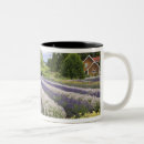 Search for cultivated mugs Flower