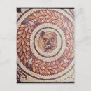 Search for tiger pattern postcards Wild