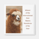 Search for alpaca magnets Cute