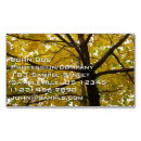 Search for maple tree business cards Fall