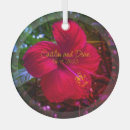 Search for hibiscus christmas tree decorations Red