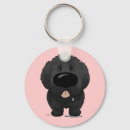 Search for newfies accessories Dogs