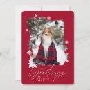 Search for frosty christmas cards Snowflakes