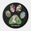 Search for paw print magnets In loving memory