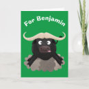Search for buffaloes cards Funny