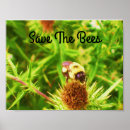 Search for save the bees posters Nature