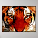 Search for tiger eyes posters Animals