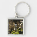 Search for carefree key rings Outdoors
