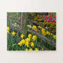 Search for daffodil puzzles Yellow