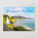Search for seagulls postcards Waves