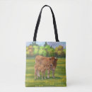 Search for calf bags Livestock