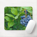 Search for ripe mouse mats Food