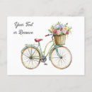 Search for bicycle basket postcards Summer