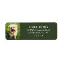 Search for with photo return address labels White