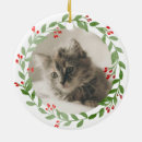 Search for cat photo christmas tree decorations Kitten