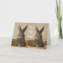 Search for funny bunny birthday cards Hare