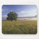 Search for smokey mountain mouse mats Park