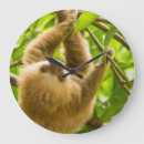 Search for sloth image art Wildlife