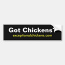 Search for chicken bumper stickers Backyard