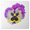 Search for pansy tiles Flora