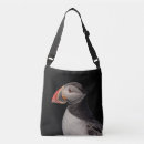 Search for puffin bags Nature