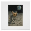 Search for space walk posters Stars