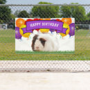 Search for happy birthday in purple banners Trendy