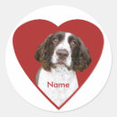 Search for english springer spaniel stickers Dog