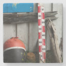 Search for seashell pictures coasters Sand