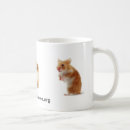 Search for gerbil home living Hamsters