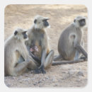 Search for hanuman stickers India
