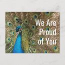 Search for blue peacock postcards Photography