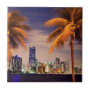 Search for usa tiles Outdoors