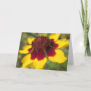 Search for macro flower cards Yellow