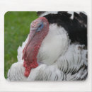 Search for domestical mouse mats Farm