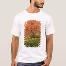 Search for acer clothing Garden