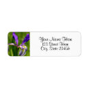Search for purple iris return address labels Garden