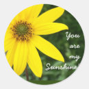 Search for sunshine sunflower stickers Bright
