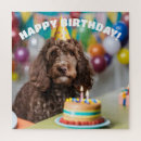 Search for cockapoo gifts Animals