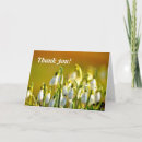 Search for snowdrop flower cards Photography